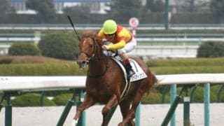 【阪神5R新馬戦結果】ルメール騎手騎乗ジャスティンカツミが逃げ切りV