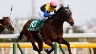 【有馬記念予想】今年の有馬記念はリスグラシューが制した2019年のような「異例の有馬記念」となるか!?