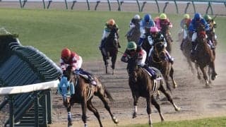 【中山大障害】オジュウチョウサンが完全復活