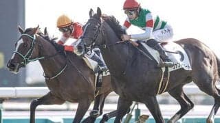 【JRA】横山武史騎手が1月15日から2日間の騎乗停止、中山5Rで追う動作緩める