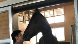 【有馬記念】辻野師「キセキの最後の走りと目に焼きつけたい」/ねぇさんのトレセン密着