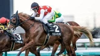 【有馬記念予想】後方組の追い上げは道中のペースがカギ/万哲の馬場予報