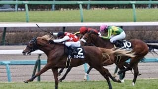 【グレイトフルS】ゴールドシップ産駒 ヴェローチェオロがオープン入り