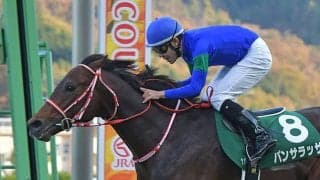 【有馬記念予想】カギを握る3頭の逃げ争いに注目！