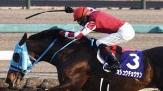 【中山大障害】石神「感謝」オジュウチョウサンが障害G1・8勝目