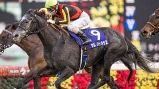 【本日の注目ポイント】有馬記念でエフフォーリア、クロノジェネシスらが激突