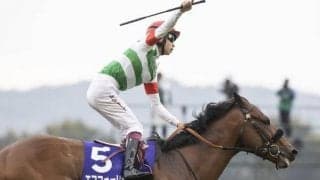【有馬記念予想】スピード・パワー・底力の全てを持つあの馬を高く評価したい