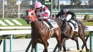 【阪神6R新馬戦結果】シーズザデイが大外枠から逃げて押し切り新馬勝ち