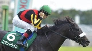 【ホープフルS枠順確定】コマンドラインは4枠6番、キラーアビリティは3枠5番