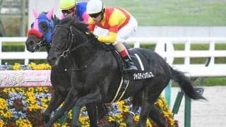 【ホープフルS 調教後馬体重】コマンドラインは530kg、ジャスティンパレスは450kg