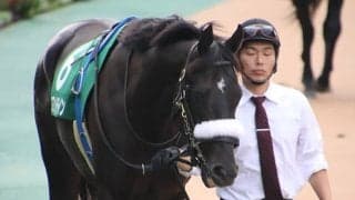 【ホープフルS予想オッズ】登録唯一の重賞覇者コマンドラインが予想1番人気