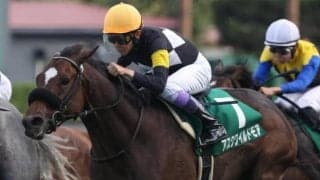 【ホープフルS展望】2021年最後の中央重賞、同舞台の皐月賞とは違い時計が掛かる