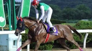 【佐賀・中島記念】競走中止のドゥラリュールは心房細動、連勝は6で止まる