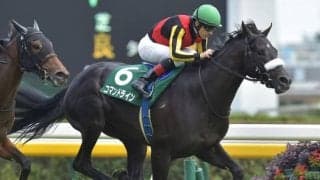 火曜日にJRA最後のGIホープフルS、水曜日には大井でGI東京大賞典/今週の競馬界の見どころ