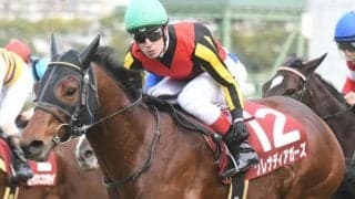 【阪神C】売上は60億8051万2300円で昨年からおよそ5.1億円の増加