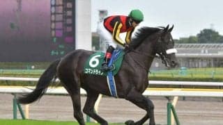 【ホープフルS見どころ】コマンドラインの無傷3連勝なるか