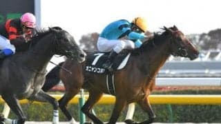 ホープフルＳで来年のクラシック戦線を占う。期待は「中山巧者」と、「旬」な血統を持つ２頭