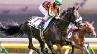 【ホープフルS前日オッズ】コマンドラインが3.0倍で1番人気、6頭が10倍を切る混戦