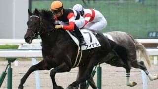 【ホープフルS】フィデル陣営「折り合いの精度を高めて調整」/ねぇさんのトレセン密着