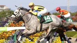 ベストアクターが競走馬登録抹消