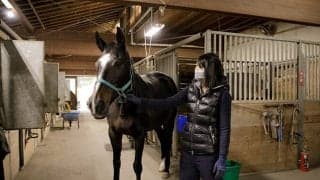 「僕は絶対に馬を壊さない」 “名手・四位洋文”の信念が息づく乗馬クラブのリトレーニング方法とは？