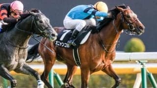 【本日の注目ポイント】2021年最後の中央開催　中山で2歳GI・ホープフルS