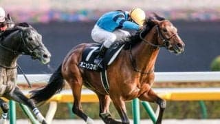 【ホープフルS予想】将来性に加え、現時点での完成度が高い馬に注目