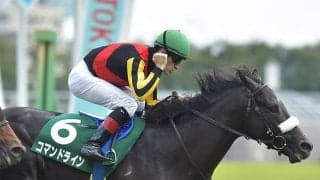 【ホープフルS 13時時点オッズ】コマンドラインが単勝3.0倍の1番人気、キラーアビリティが4.1倍で続く