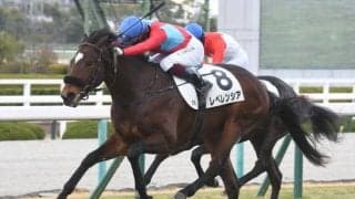 【阪神5R新馬戦結果】ロードカナロア産駒レベレンシアがゴール前で差し切りV