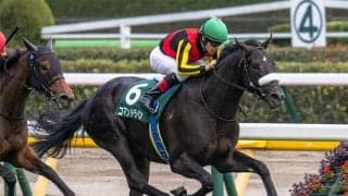 【ホープフルS・馬体重】コマンドラインは530kg(+8)、アスクワイルドモアは474kg(+12)