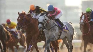 【東京大賞典 注目馬】前人未到の本レース4連覇の偉業達成へ向けて静かに牙を研ぐ砂王