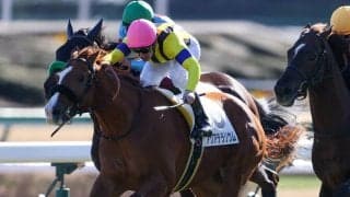 【新馬/中山5R】良血アクアテラリウムがデビューV