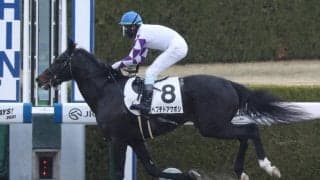 【新馬/阪神6R】イスラボニータ産駒 ペプチドアケボシがデビューV