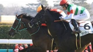 【新馬/中山5R】ジャスタウェイ産駒 ルージュエヴァイユがデビューV