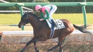 【新馬/中山6R】コパノリッキー産駒 アローワンが大差圧勝