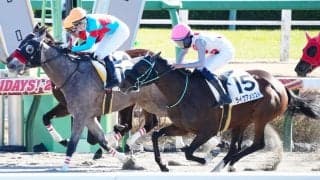 【新馬/中山5R】伏兵ライヴアメシストがデビューVで波乱