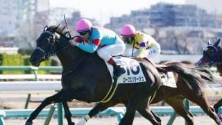 【新馬/中山6R】良血ローブエリタージュがデビューV