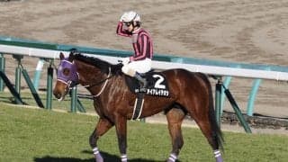 嘉藤貴行騎手 最終騎乗を終えてのコメント