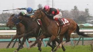 【中山金杯登録馬】ヴィクティファルスなど20頭