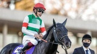 【ホープフルS】売上は149億4964万9100円で昨年からおよそ69.1億円の増加