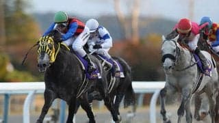 【東京大賞典 注目馬】地方馬初のJBCクラシックを制したプライドをかけてJRA勢を再び撃破へ