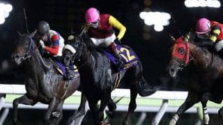 【東京大賞典 注目馬】展開のカギを握るキーホース ノーマークの逃走劇で大波乱の再現を狙う