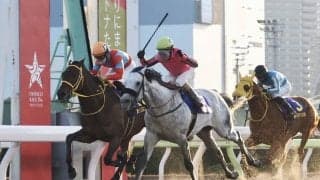 【東京大賞典】オメガパフューム史上初の4連覇達成