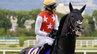 【中山金杯ハンデ確定】ステラヴェローチェは57.0kg、ヒートオンビートは56.0kg