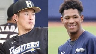 新庄監督の日本ハムに眠る“原石”たち　154キロ育成右腕や驚異の身体能力外野手