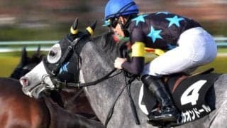 【万葉Sハンデ確定】マカオンドールは52.0kg、シルヴァーソニックは55.0kg