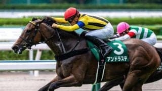 【京都金杯ハンデ確定】アンドラステは55.5kg、エアロロノアは56.0kg