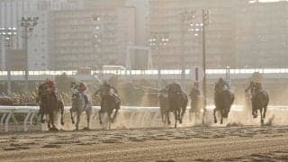 【東京大賞典】Mデムーロ「直線長かった」レース後ジョッキーコメント