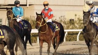 【東京大賞典】川田「本当に頑張ってくれた」クリンチャーは惜しい2着