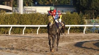 【東京大賞典】御神本「悔しいけど受け止める」ミューチャリーは粘れず4着